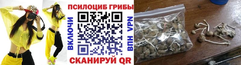 закладки  Родники  Псилоцибиновые грибы GOLDEN TEACHER 